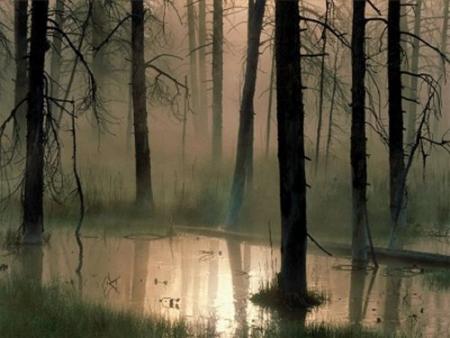 Silence